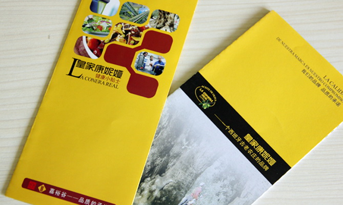 宣傳單頁(yè)/宣傳折頁(yè)